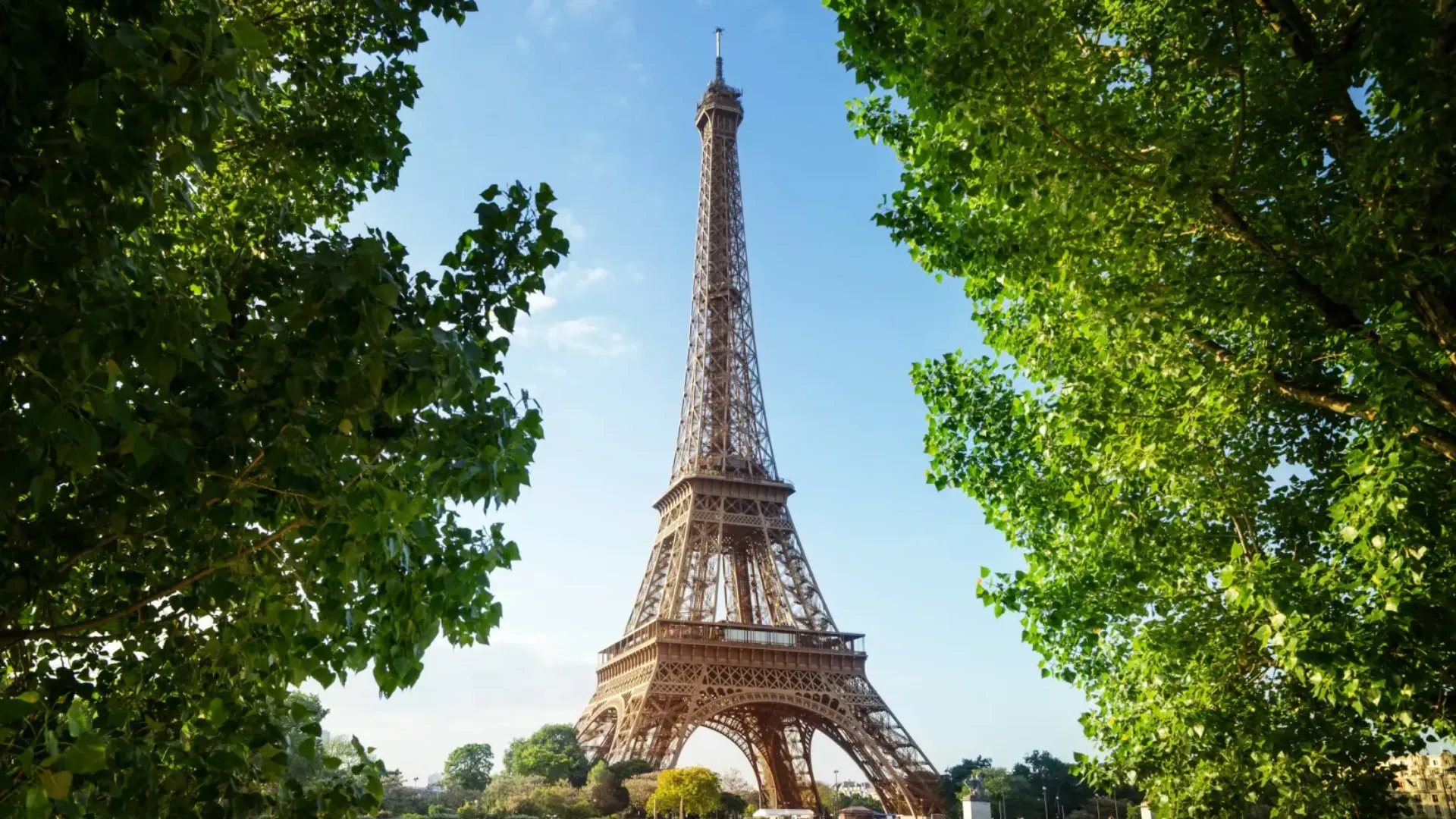 Eiffel Tower Tours